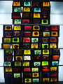 colors of life