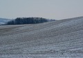 zima2