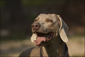 Smile, you&hellip;