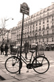 Saint Germain