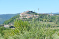 Motovun