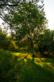 Hladovina pod &hellip;